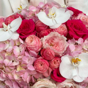 box of hydrangeas roses garden spray roses and orchids scarlet sonata from 655