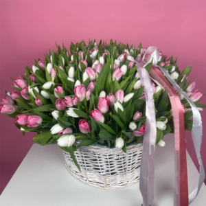 Basket of White and Candy-Pink Tulips