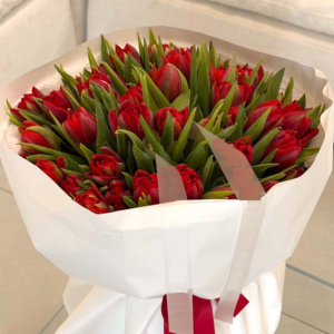 Bouquet of Red Tulips Velvet Dawn