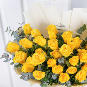 Get Well 50 Yellow Roses